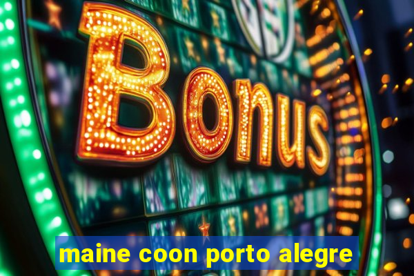 maine coon porto alegre